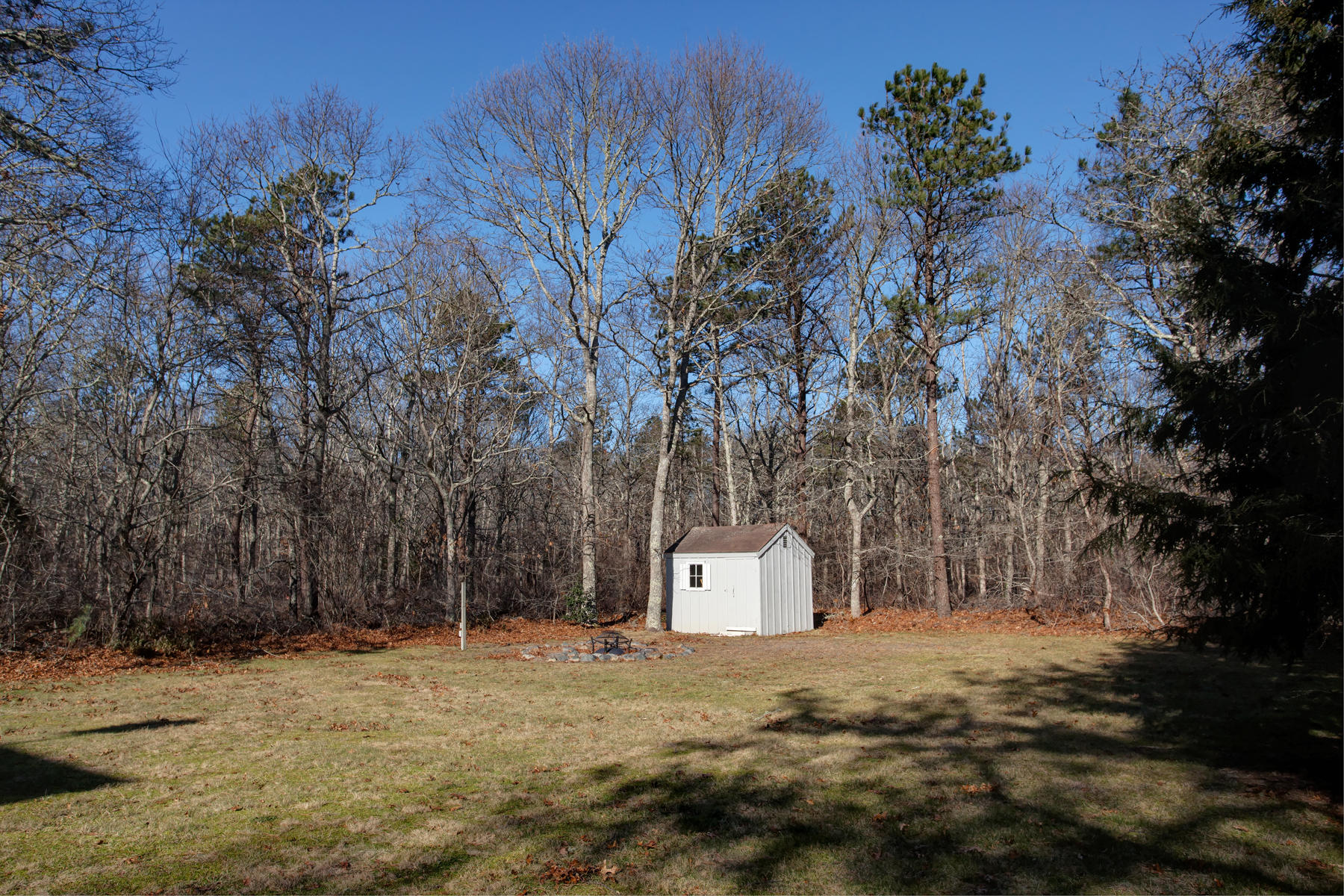 178 Farmersville Road Sandwich, MA 02563 - Photo 23 of 25 a large tree in front of a white house