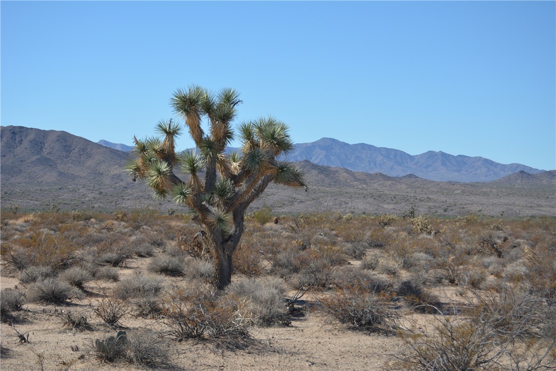 207-35-005 South Arlington Road Yucca, AZ 86438 - Photo 1 of 92