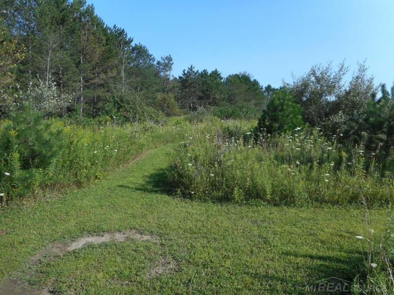 Vl Goetze Road Applegate, MI 48401 - Photo 1 of 14