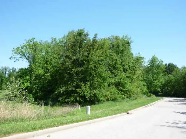 $50,000 | Lot 40 Lakewood, Vincennes, IN 47591