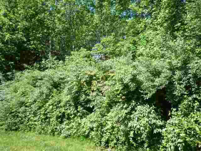 $50,000 | Lot 40 Lakewood, Vincennes, IN 47591