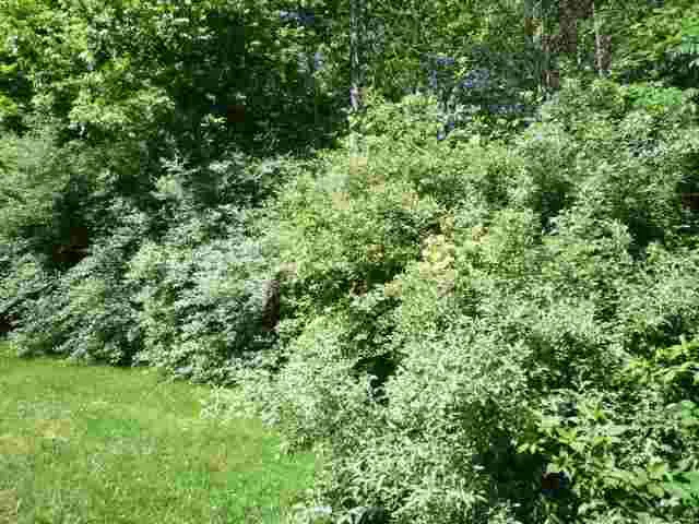 $50,000 | Lot 40 Lakewood, Vincennes, IN 47591