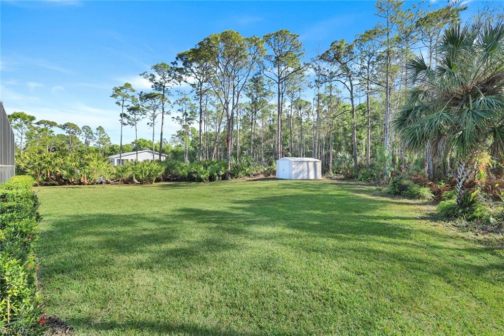 24411 Dietz Drive Bonita Springs, FL 34135 - Photo 36 of 46