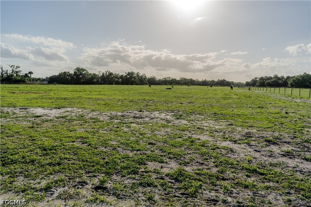 595 Norris Road LaBelle, FL 33935 - Photo 16 of 22 a view of a green field with clear sky