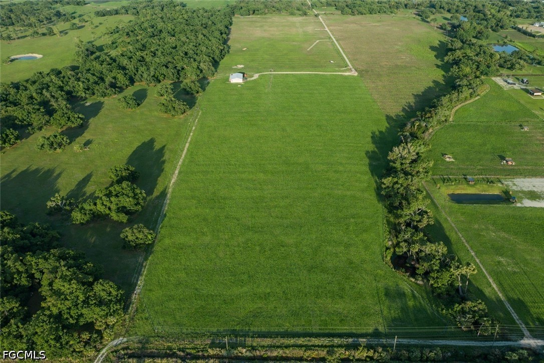 595 Norris Road LaBelle, FL 33935 - Photo 21 of 22 a view of a big yard with potted plants and large tree