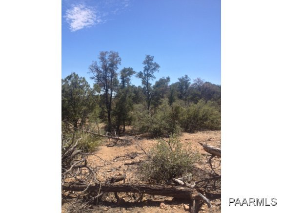 6000 West Almosta Ranch Road Prescott, AZ 86305 - Photo 1 of 4 Primary Photo