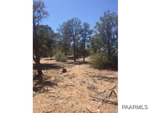 6000 West Almosta Ranch Road Prescott, AZ 86305 - Photo 3 of 4 Additional Photo