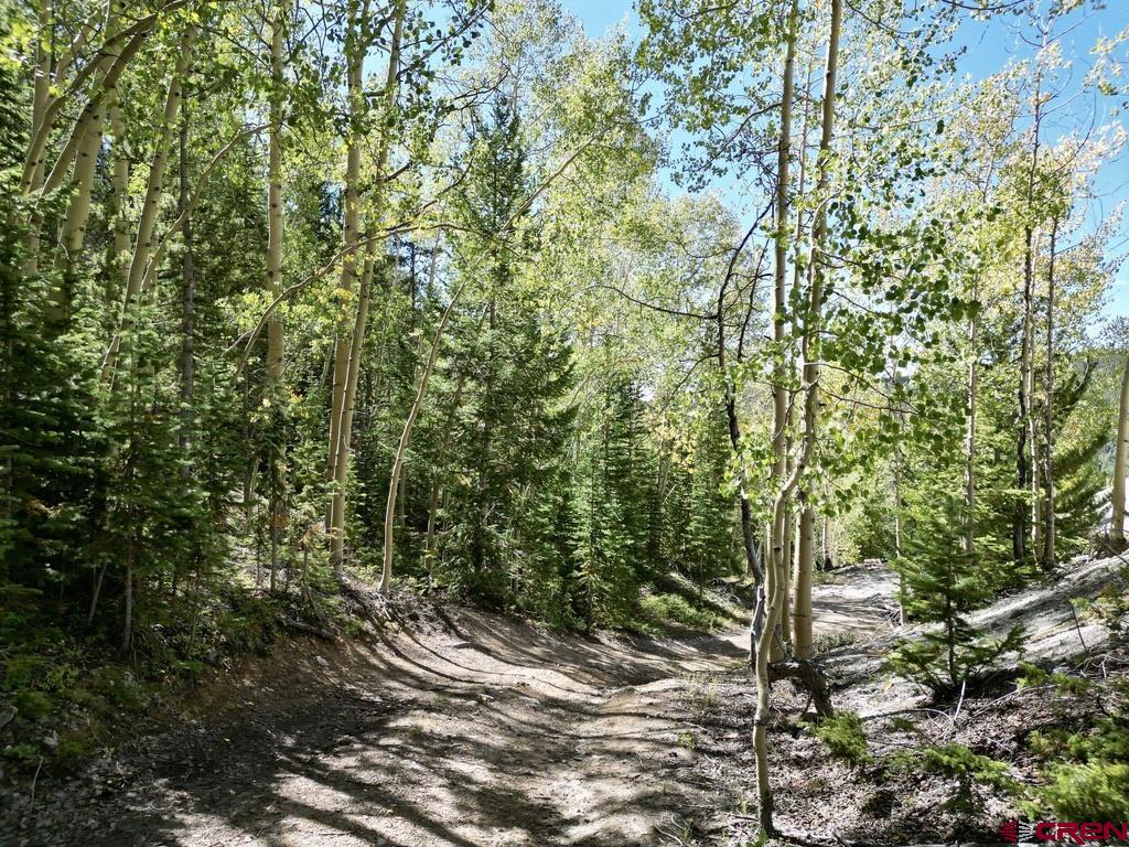 840 Forest Service Road Pitkin, CO 81241 - Photo 12 of 45 Gallery Image 12