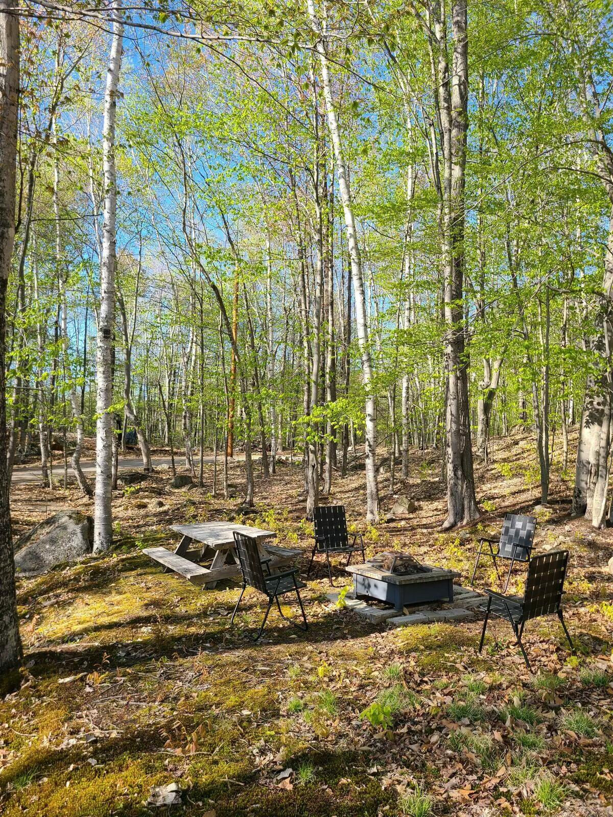 6 Acorn Circle Standish, ME 04084 - Photo 12 of 48 tempImagecG8mjs