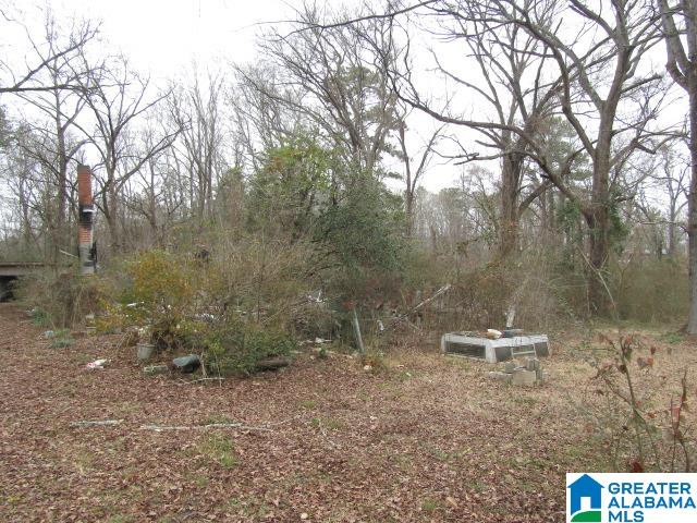 253 Old County Rd 109 Anniston, AL 36201 - Photo 10 of 10