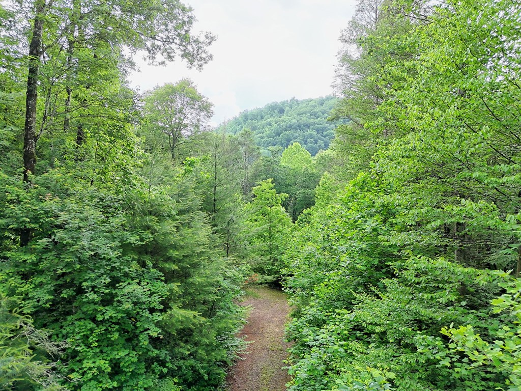 1070 Morgan Creek Road Marble, NC 28905 - Photo 26 of 40
