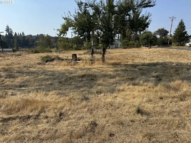 $105,000 | 411 Northeast 1st Street, Oakland, OR 97462