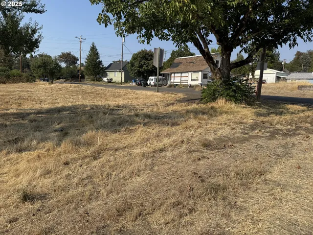 $105,000 | 411 Northeast 1st Street, Oakland, OR 97462