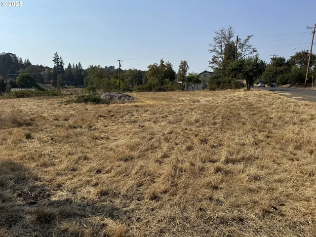 $105,000 | 411 Northeast 1st Street, Oakland, OR 97462