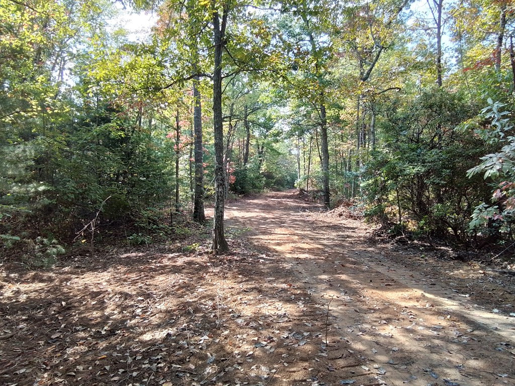 End Of Tanglewood Ridge Murphy, NC 28906 - Photo 10 of 38