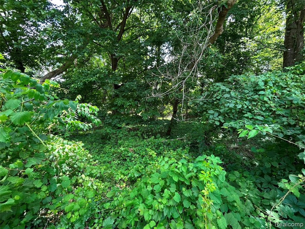 505 South Telegraph Road Dearborn, MI 48124 - Photo 1 of 2