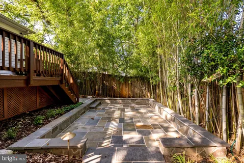 a view of backyard with wooden fence and trees
