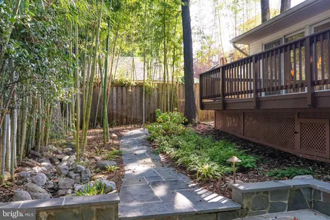 a view of a backyard with plants