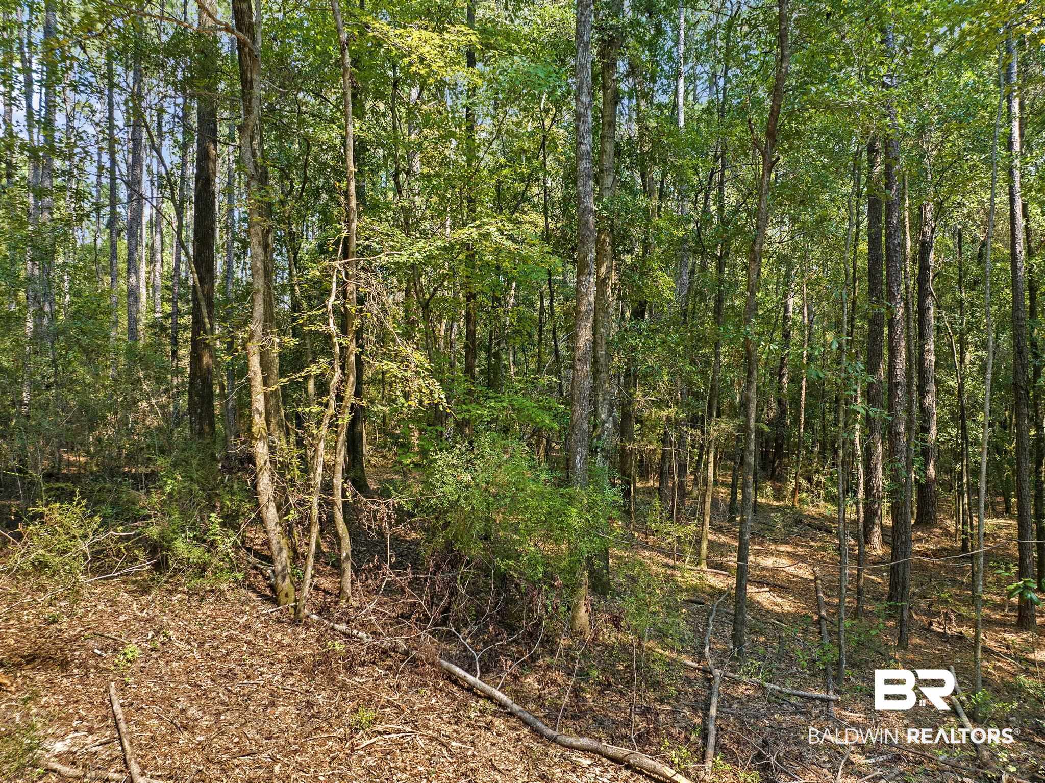 6917 Old Citronelle Road Eight Mile, AL 36613 - Photo 5 of 8