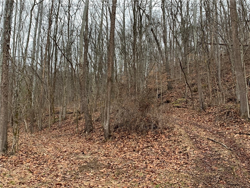 911 Lick Branch Road Poca, WV 25159 - Photo 19 of 24 Gallery Image 19