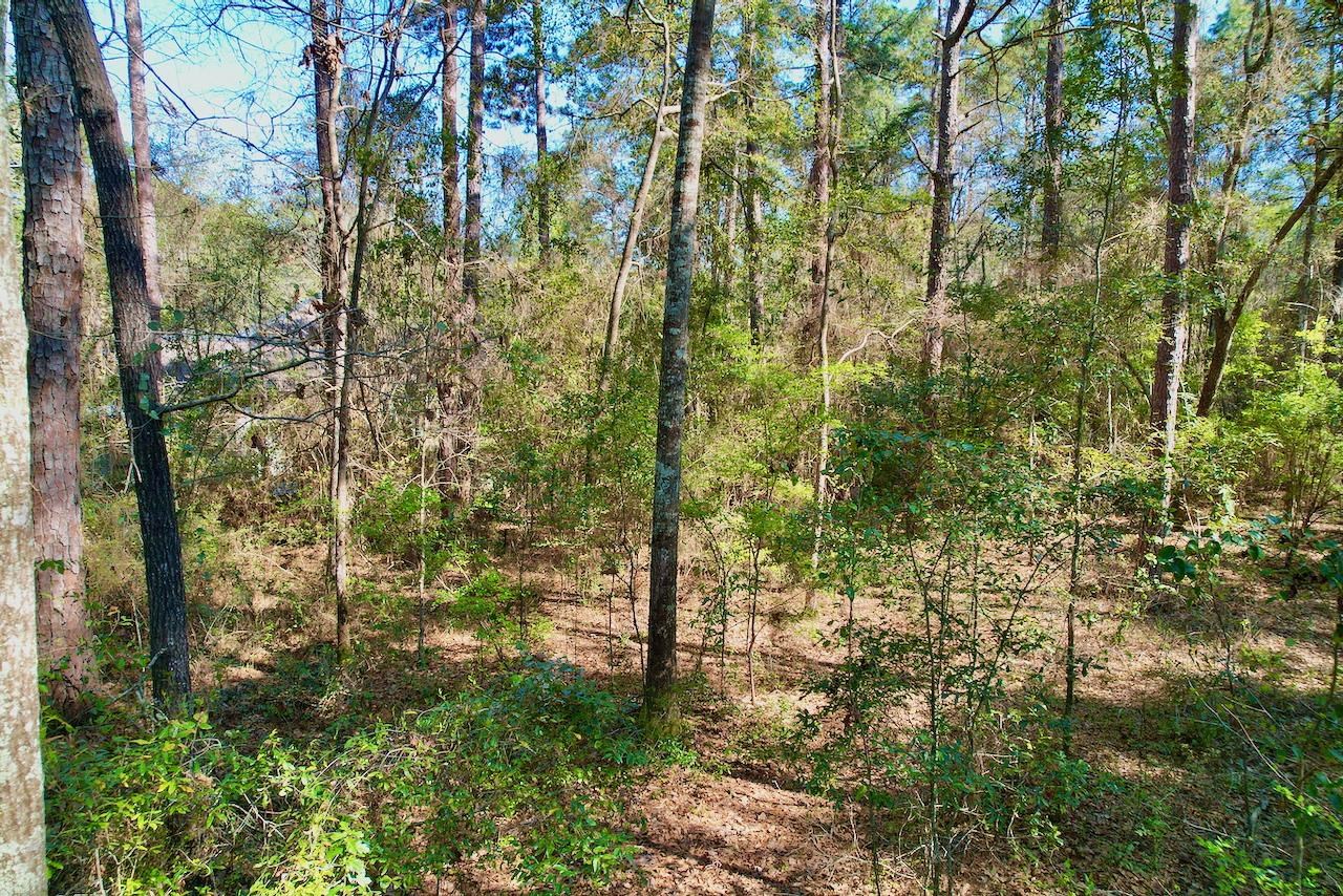 0 Amber Valley Road Tallahassee, FL 32312 - Photo 16 of 38 Gallery Image 16