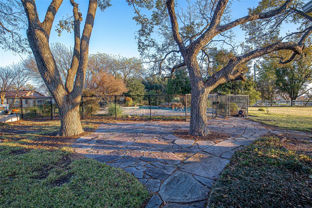 9310 Merritt Road Rowlett, TX 75089 - Photo 30 of 40 a view of a yard with plants and large trees