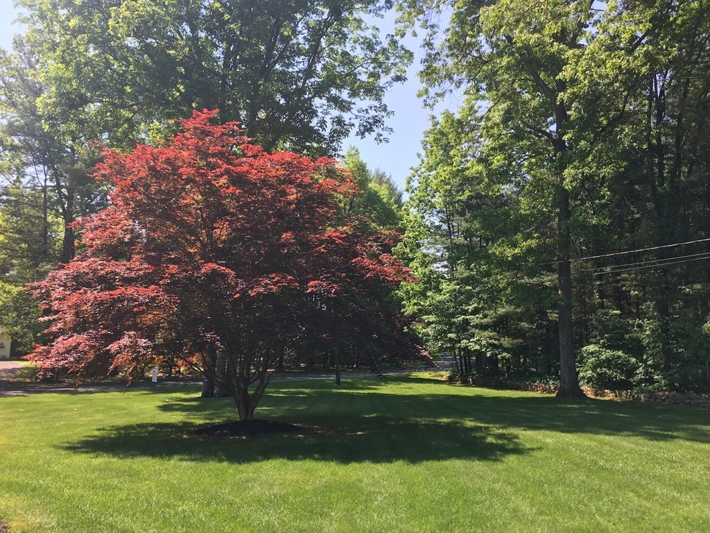32 Gilbert Road Southampton, MA 01073 - Photo 4 of 29