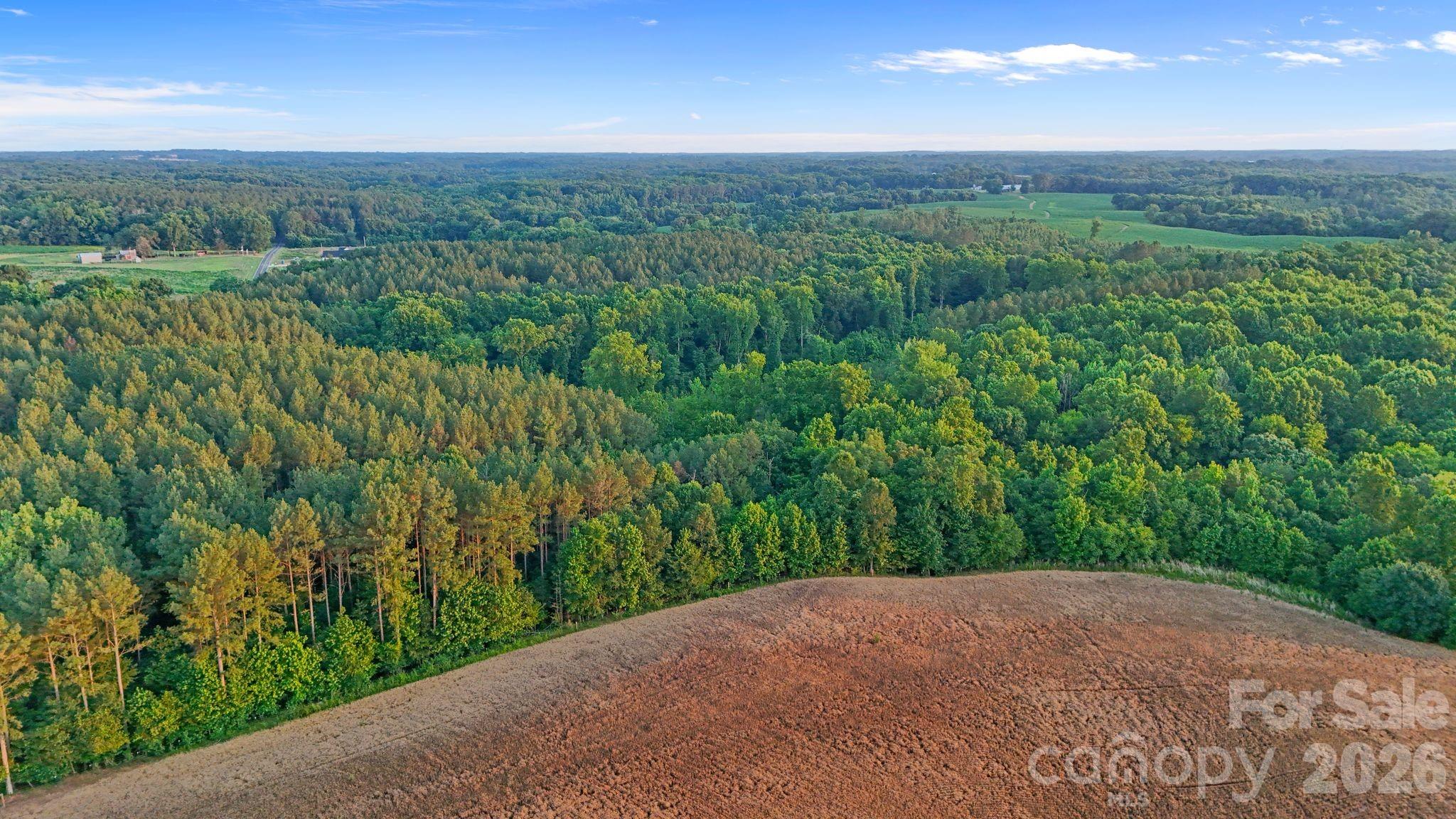 0 Lucy Short Cut Road, Unit 3 Marshville, NC 28103 - Photo 30 of 47