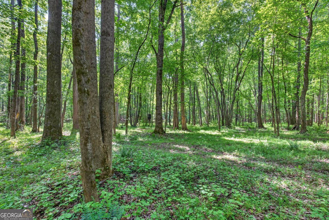 1260 Perryman Road Buckhead, GA 30625 - Photo 78 of 95