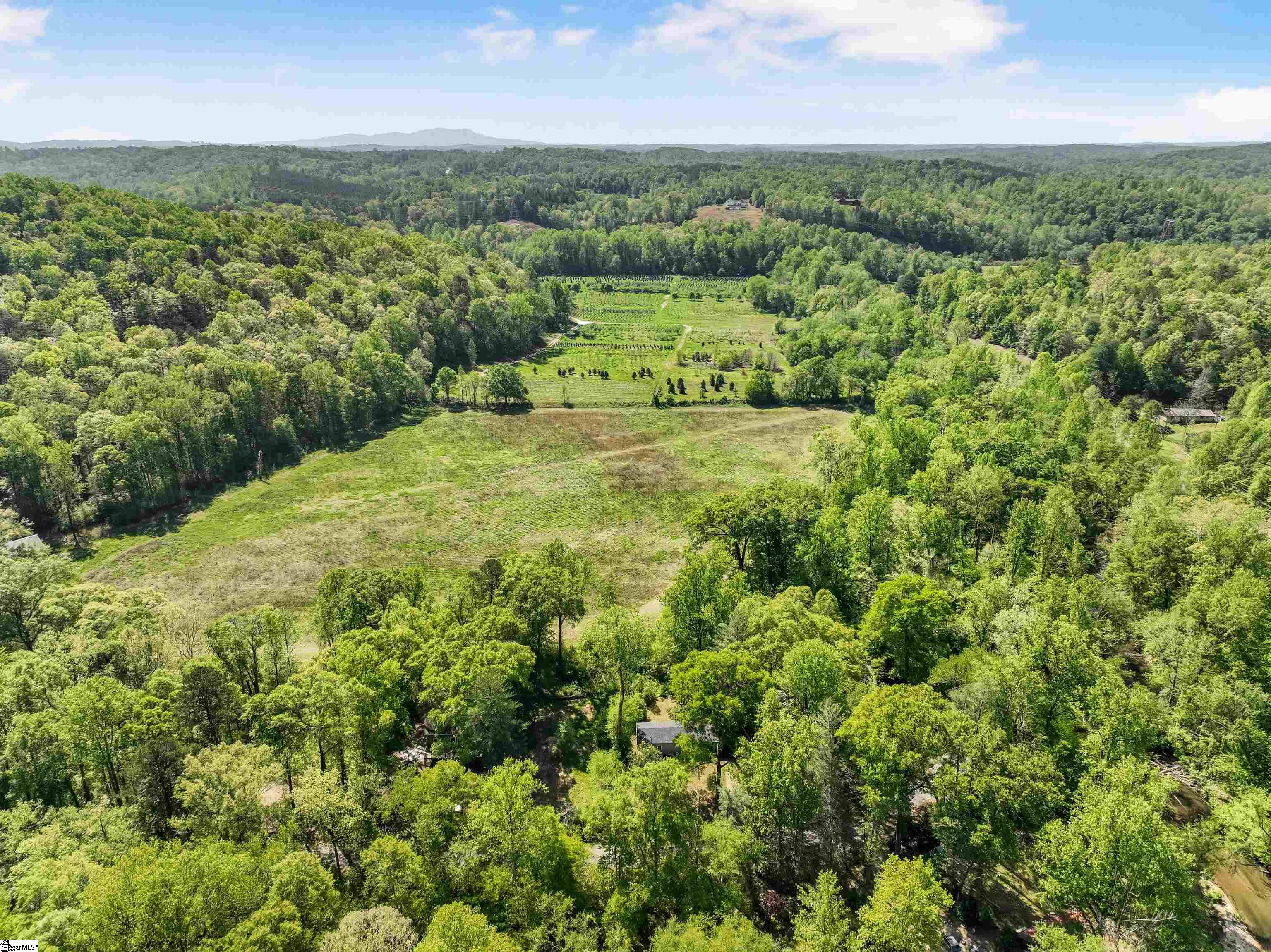 0 Silver Shoals Road Marietta, SC 29661 - Photo 12 of 16 Gallery Image 12