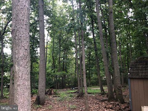 34 Rhode Island Road Sicklerville, NJ 08081 - Photo 26 of 26 Gallery Image 26