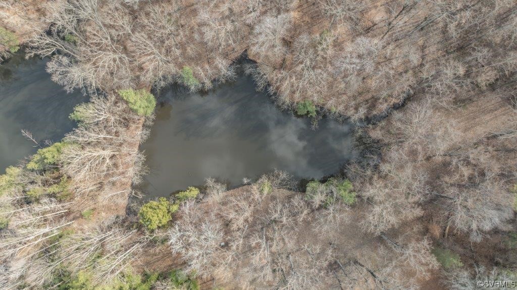134 Ampthill Road Cartersville, VA 23027 - Photo 12 of 50 a view of a lake in between the two trees