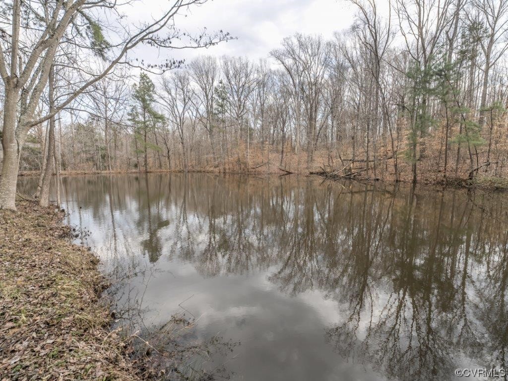 134 Ampthill Road Cartersville, VA 23027 - Photo 13 of 50 a view of a lake with a tree