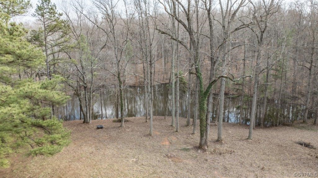 134 Ampthill Road Cartersville, VA 23027 - Photo 14 of 50 a view of room with trees
