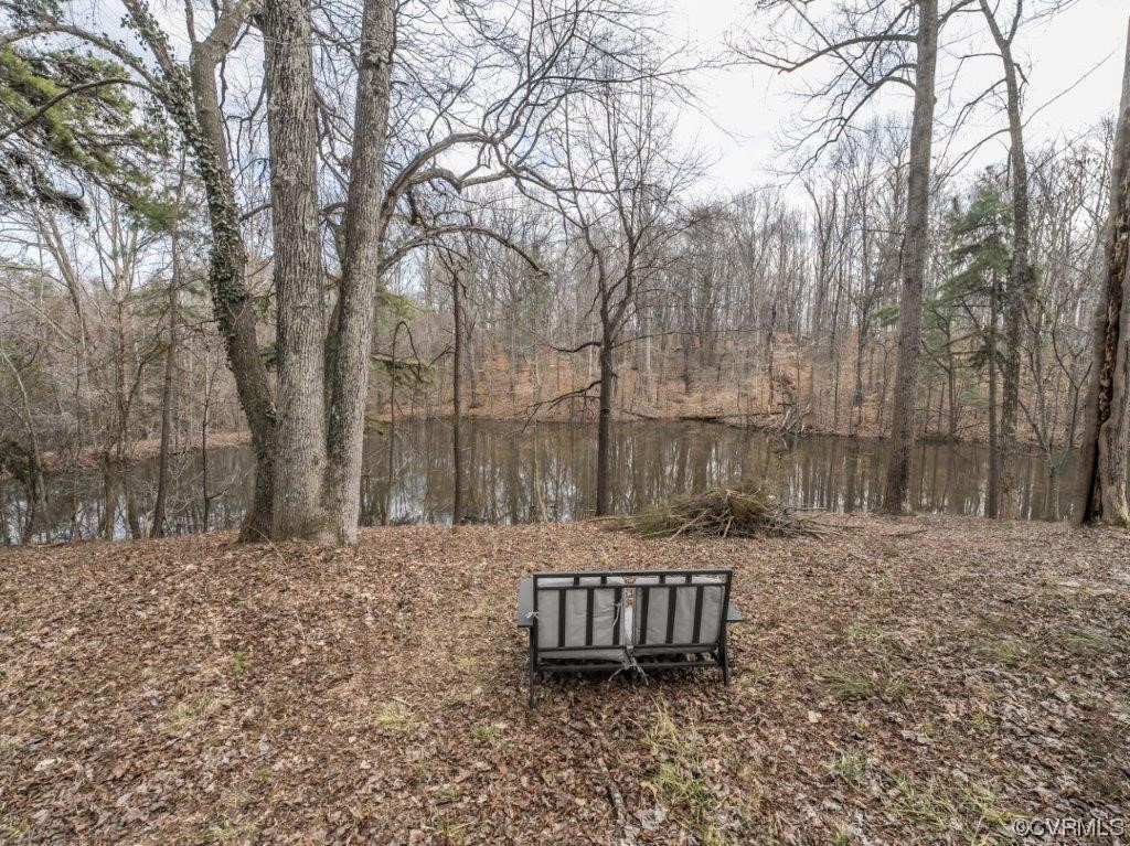 134 Ampthill Road Cartersville, VA 23027 - Photo 15 of 50 a view of a yard with large trees