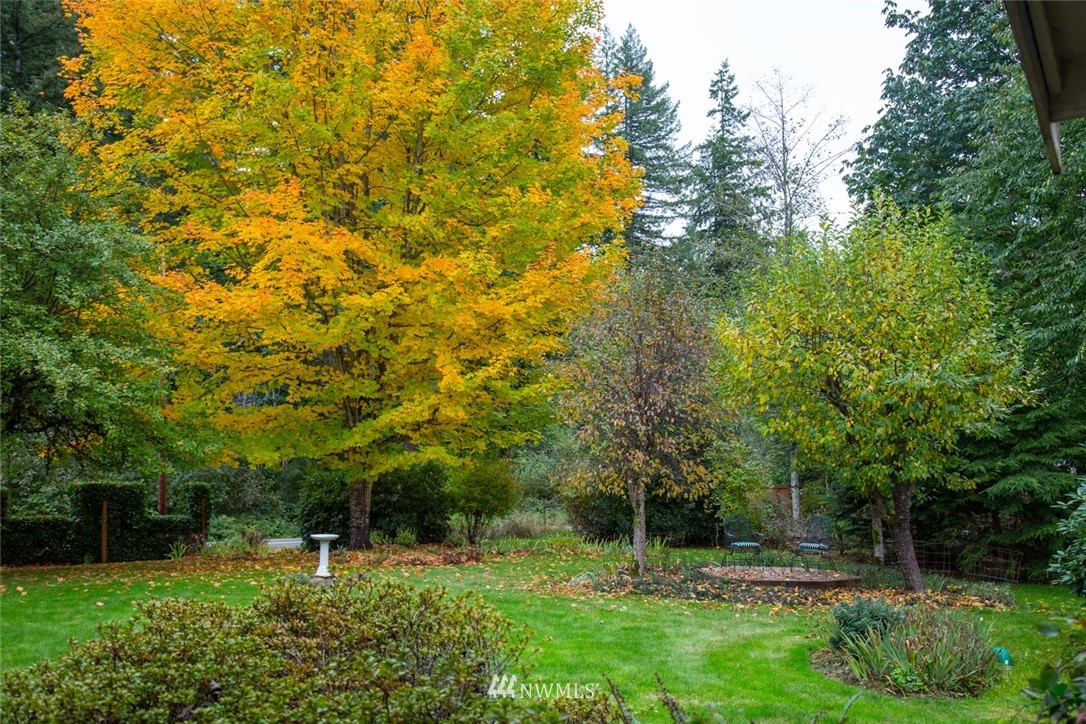 22705 Peter Grubb Road Southeast Renton, WA 98058 - Photo 30 of 40 a huge green field with lots of trees