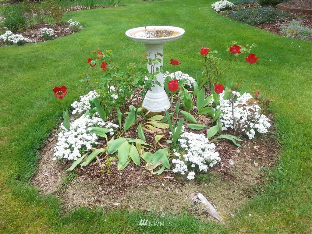 22705 Peter Grubb Road Southeast Renton, WA 98058 - Photo 32 of 40 a bunch of flowers in a garden