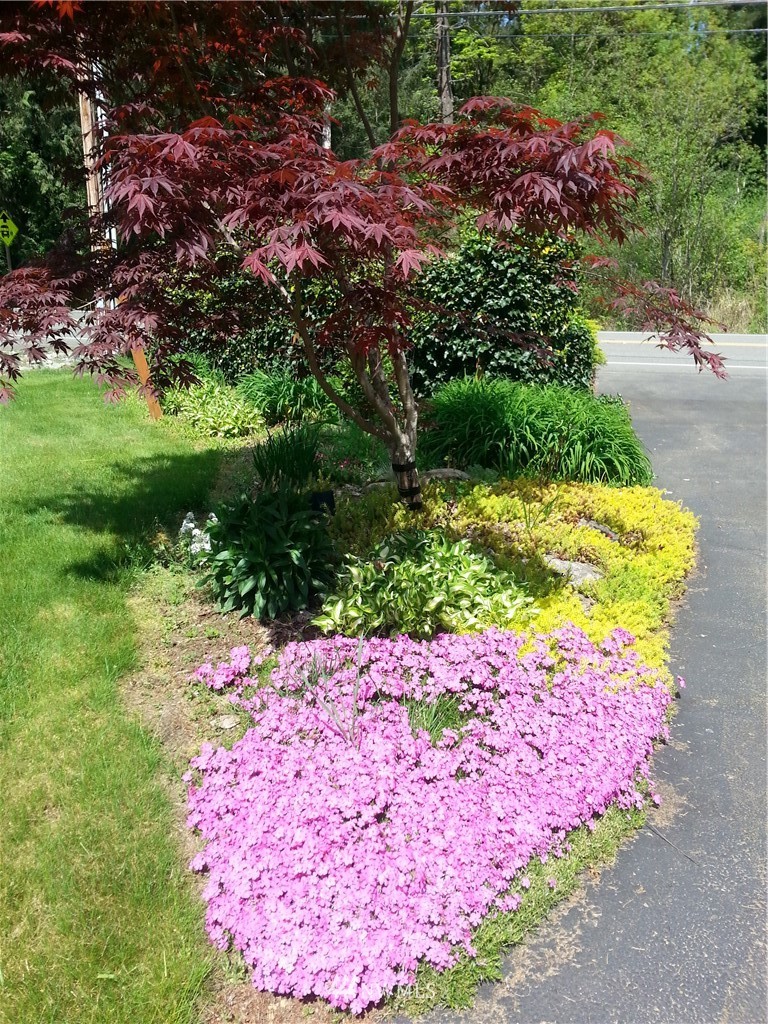 22705 Peter Grubb Road Southeast Renton, WA 98058 - Photo 33 of 40 a street view with garden
