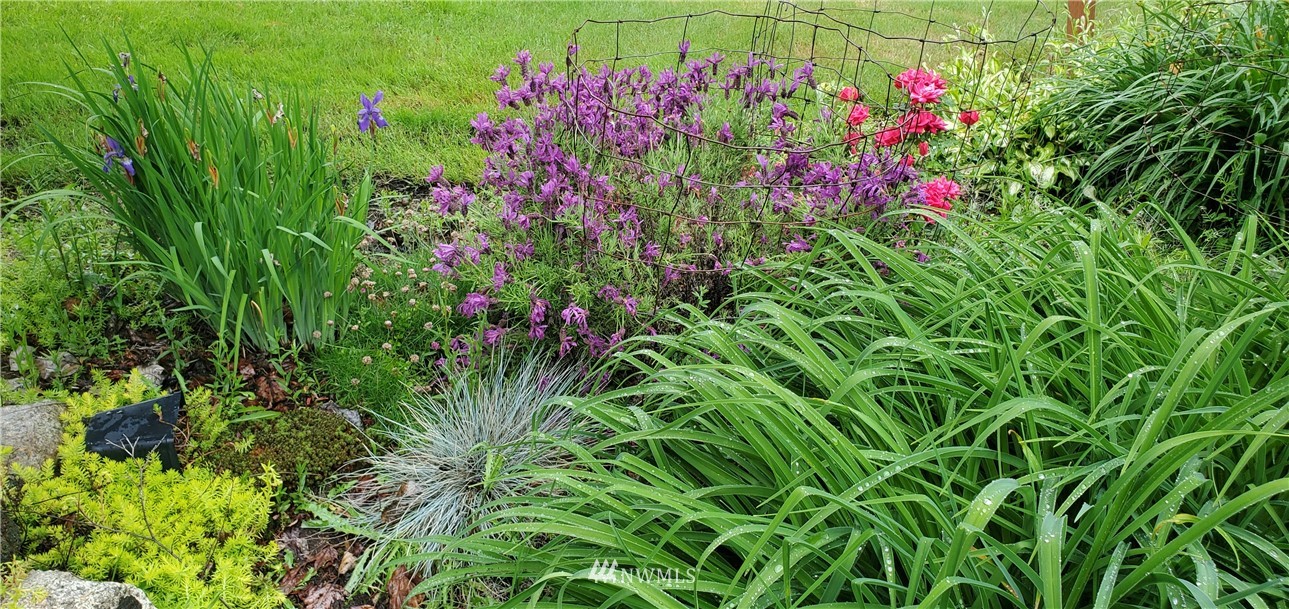 22705 Peter Grubb Road Southeast Renton, WA 98058 - Photo 36 of 40 a view of a flower in a garden