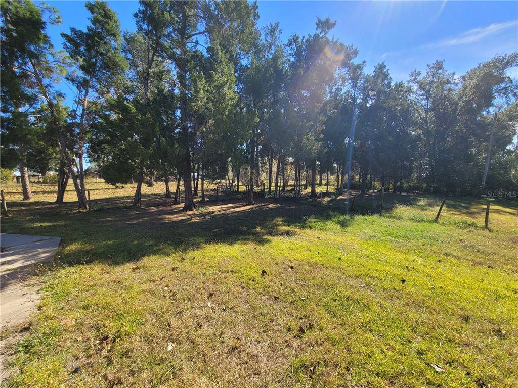 37515 Phelps Road Zephyrhills, FL 33541 - Photo 4 of 25 a view of swimming pool with outdoor seating and trees