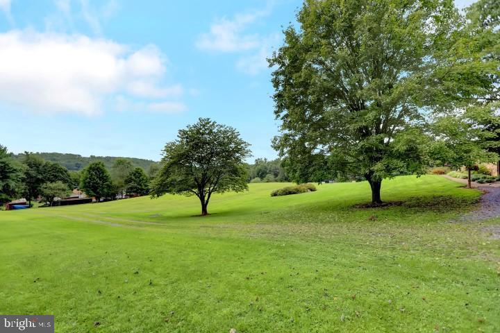 7238 Spring Road New Bloomfield, PA 17068 - Photo 42 of 55 Beautiful Peaceful Views