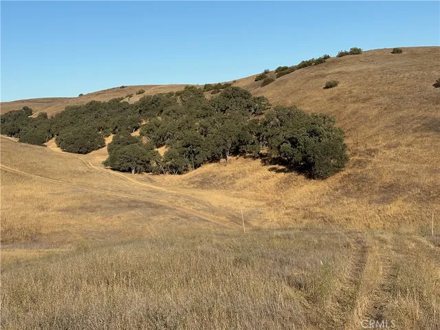 a view of a large mountain in the distance in a field