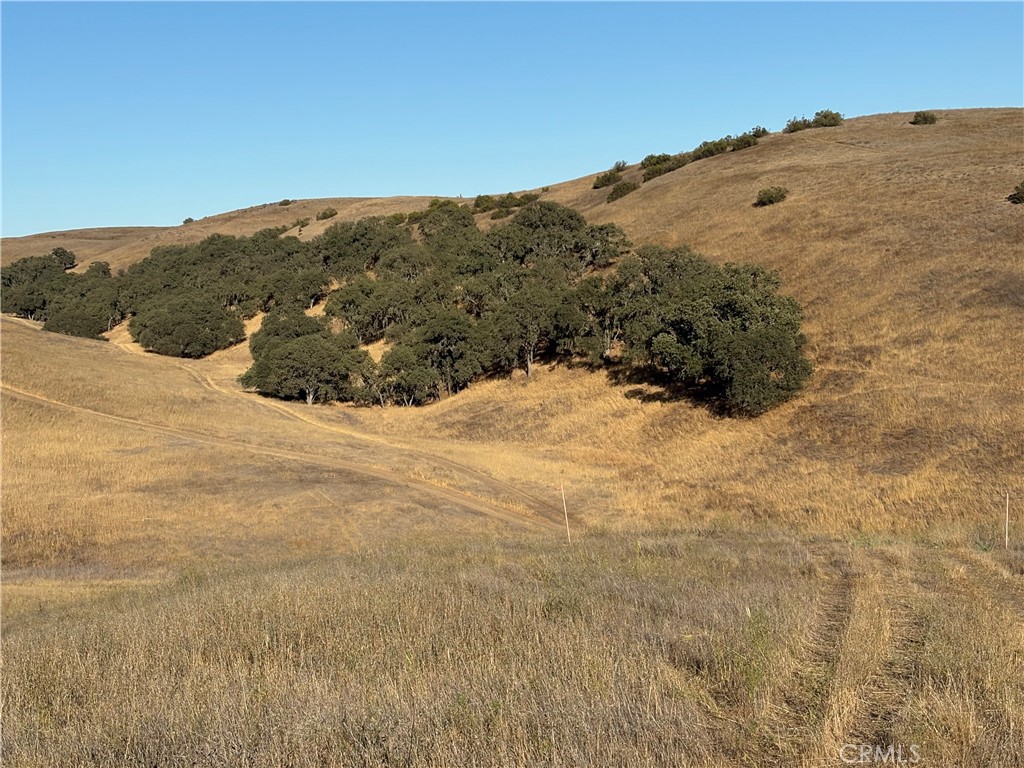 3 Maverick Paso Robles, CA 93446 - Photo 3 of 12 a view of a large mountain in the distance in a field