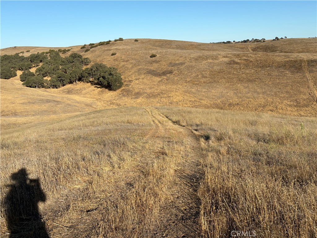 3 Maverick Paso Robles, CA 93446 - Photo 6 of 12