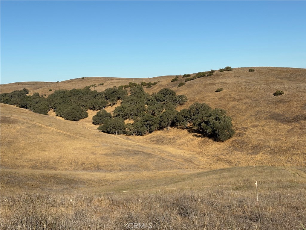 3 Maverick Paso Robles, CA 93446 - Photo 8 of 12