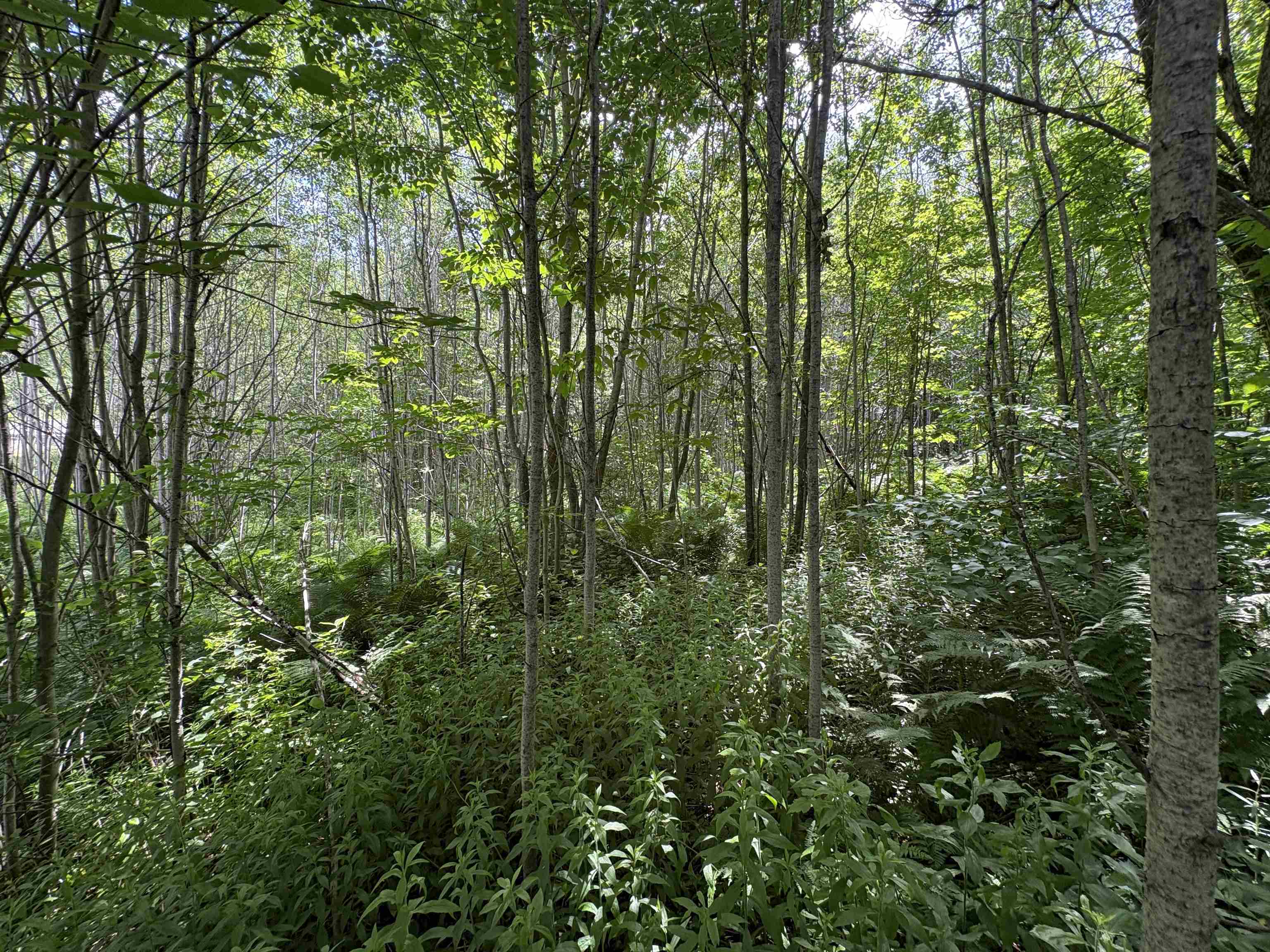 990 Bergeron Road Troy, VT 05859 - Photo 31 of 33