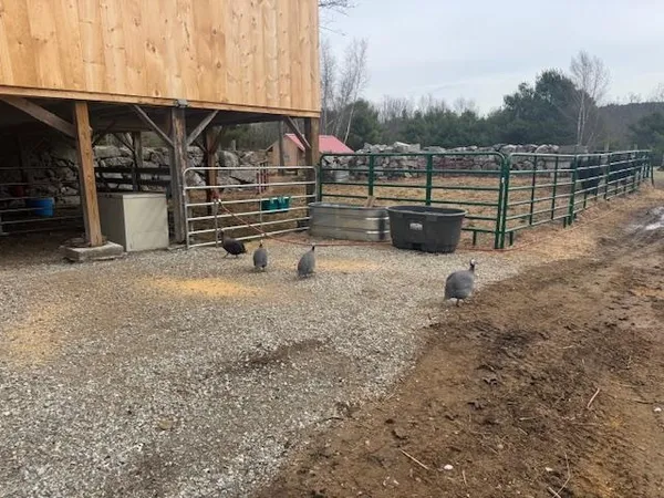 $2,500 | 125 Grapevine Road, Dunbarton, NH 03046