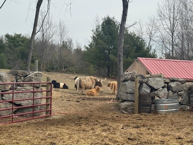 125 Grapevine Road Dunbarton, NH 03046 - Photo 13 of 14