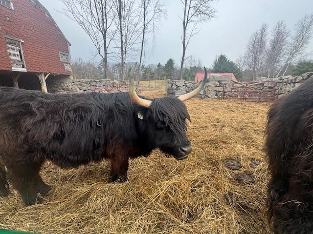 125 Grapevine Road Dunbarton, NH 03046 - Photo 14 of 14