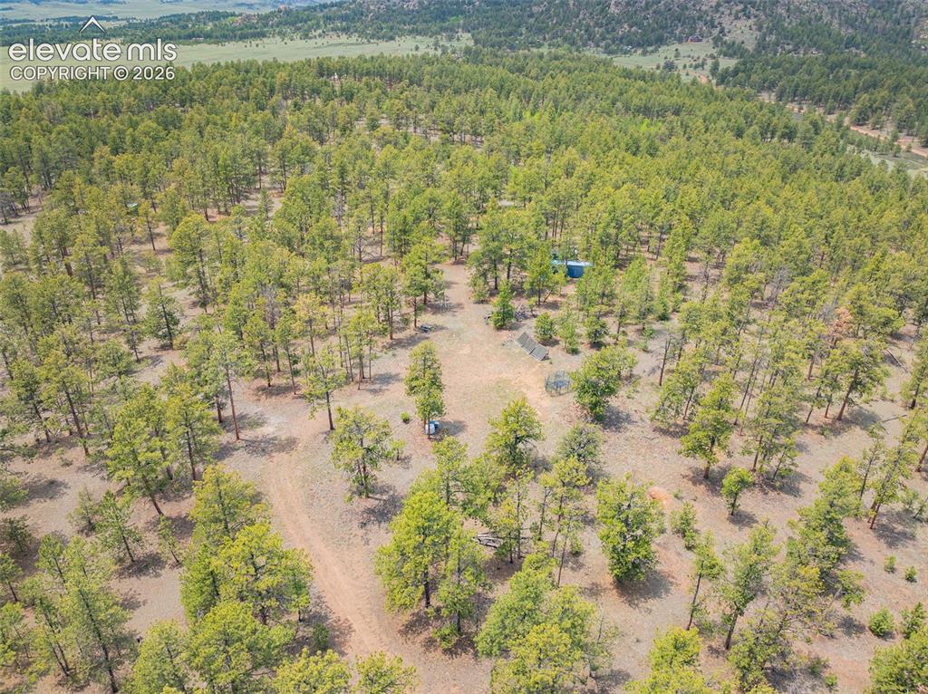4250 Doe Valley Road Guffey, CO 80820 - Photo 25 of 35